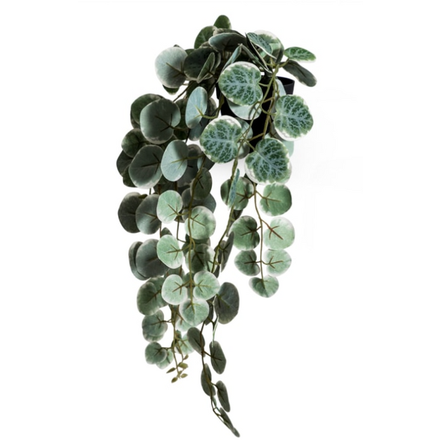 Ornamental Hanging "Chain of Hearts" in Black Pot - Clearance