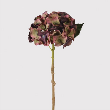 Traditional Hydrangea with Leaves - Clearance