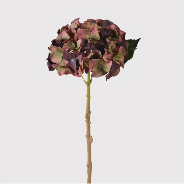 Traditional Hydrangea with Leaves - Clearance