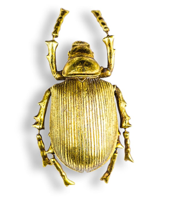 Large Gold Beetle Wall Decoration