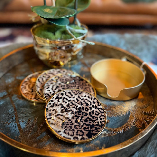Set of 4 Leopard Print Coasters with Holder