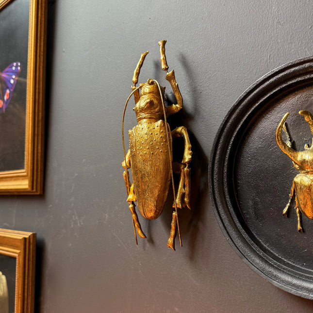 Small Gold Beetle Wall Decor