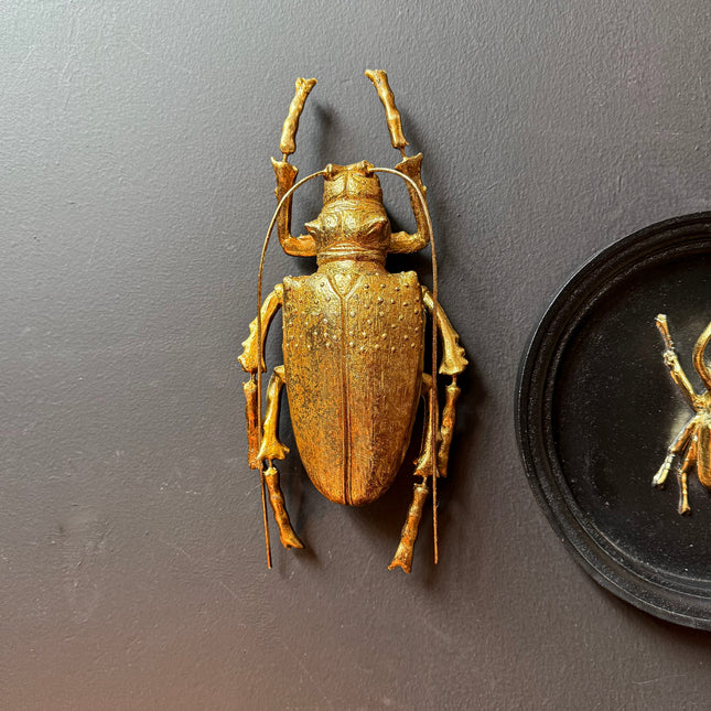Small Gold Beetle Wall Decor