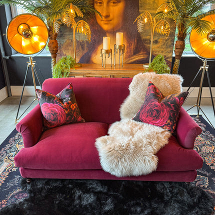 Truffle in Royal Velvet