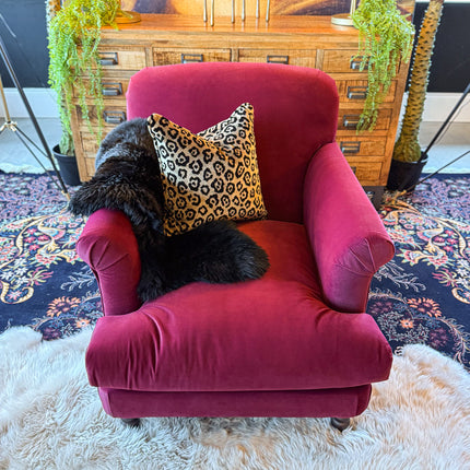 Truffle in Royal Velvet