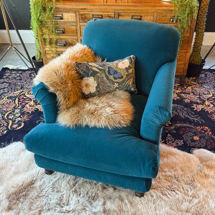 Truffle in Royal Velvet