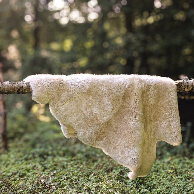 Sheepskin Rug In Cream Oyster - Single
