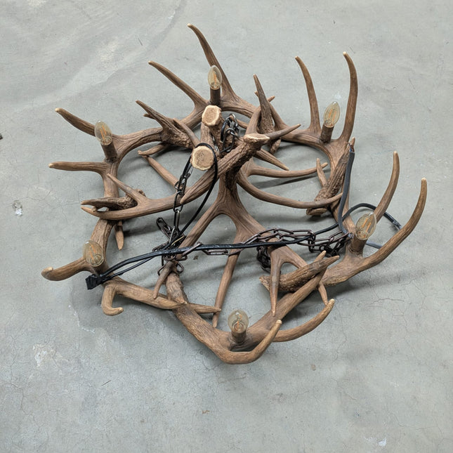 Wide Antler Chandelier- Ex Display