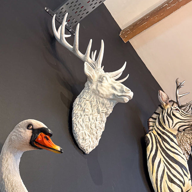 White Stag Wall Head