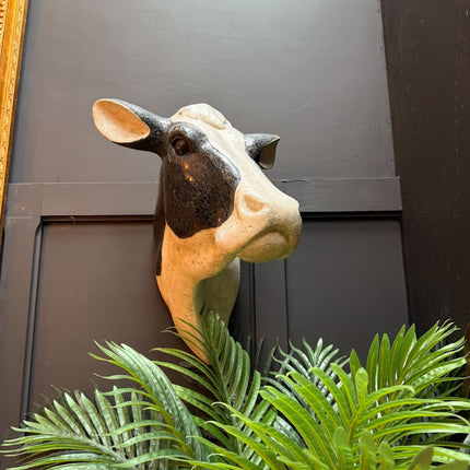 Extra Large Cow Wall Head