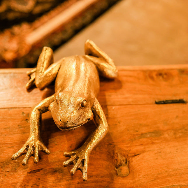 Gold Frog Wall Decoration