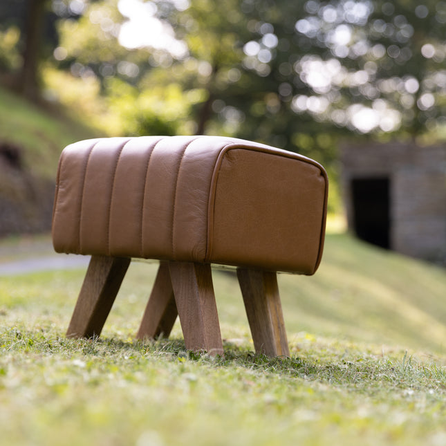 Small Leather Pommel Horse Footstool