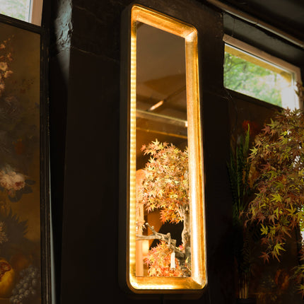 Tall Black & Antique Gold Mirror with LED Lighting - Clearance