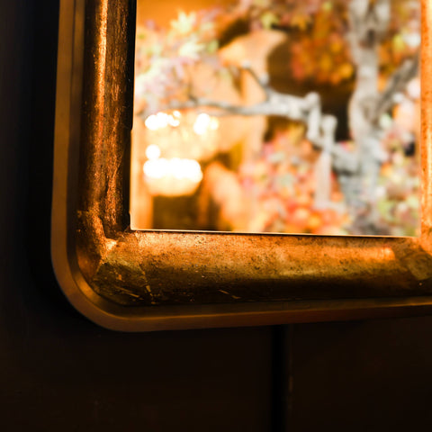 Tall Black & Antique Gold Mirror with LED Lighting