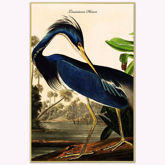 Louisiana Heron Canvas Wall Art (Various Sizes)