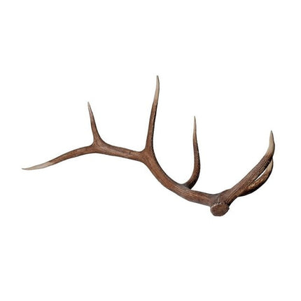 Natural Antler Decoration
