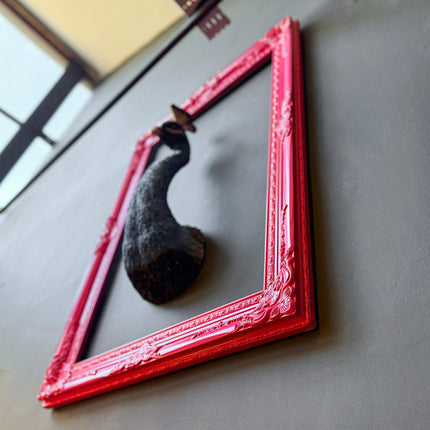Baroque Ornate Frame