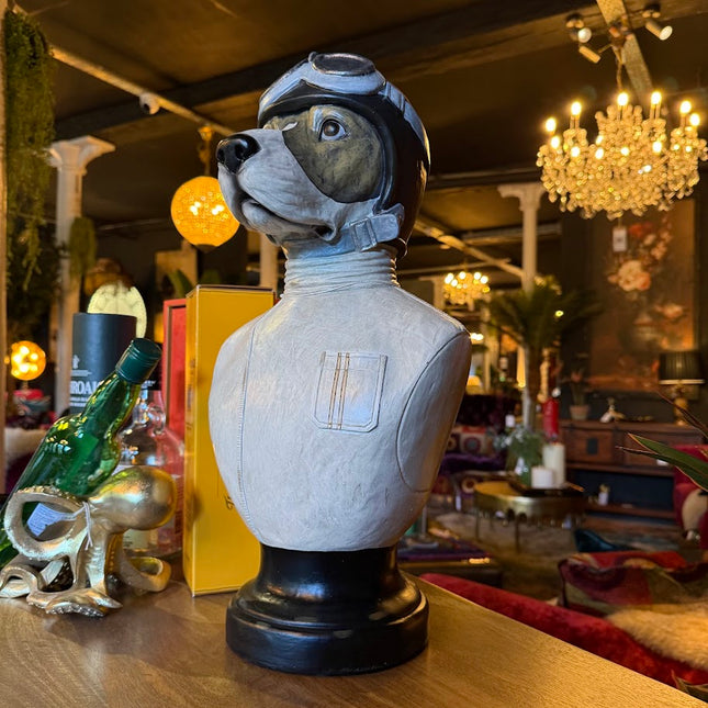 Racing Driver Dog Bust
