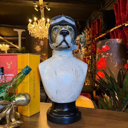 Racing Driver Dog Bust