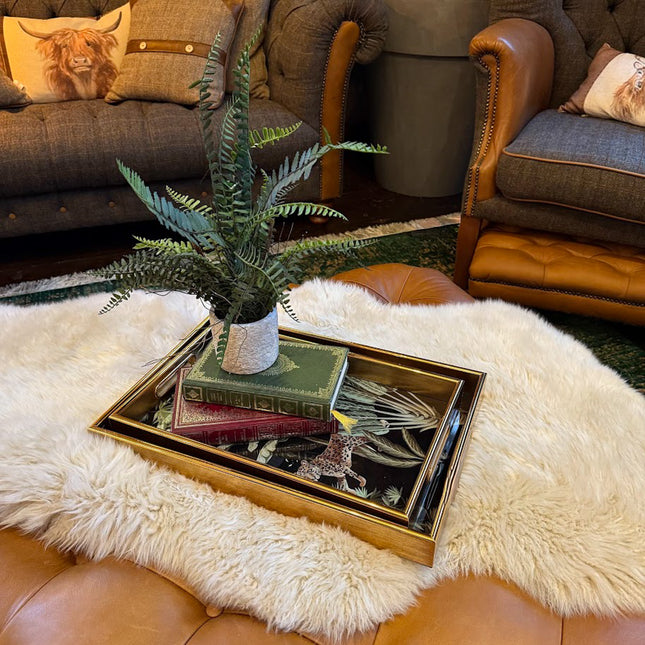 Set of 2 Parrot Trays