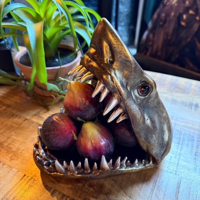 Antique Shark Storage Dish - New