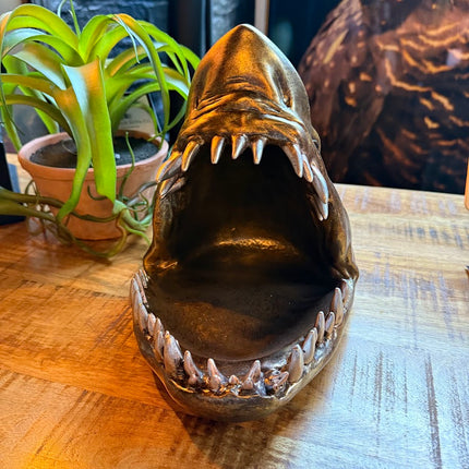 Antique Shark Storage Dish - New