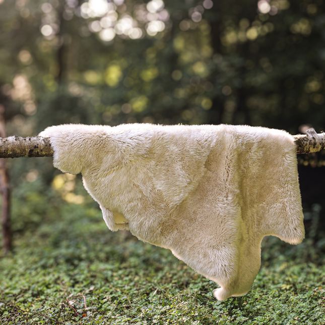 Sheepskin Rug In Cream Oyster