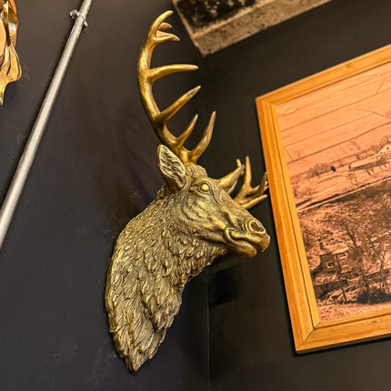 Gold Stag Wall Head