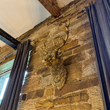 Gold Stag Wall Head