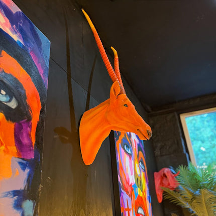 Orange Antelope Wall Head