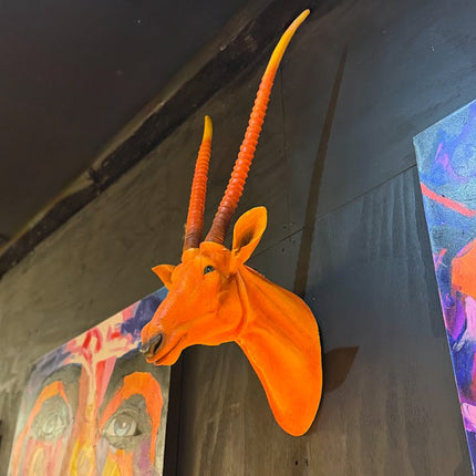 Orange Antelope Wall Head