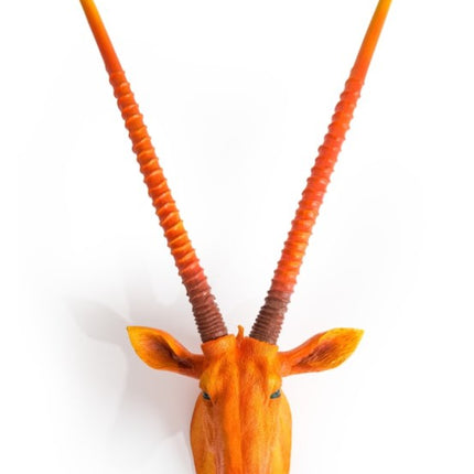 Orange Antelope Wall Head