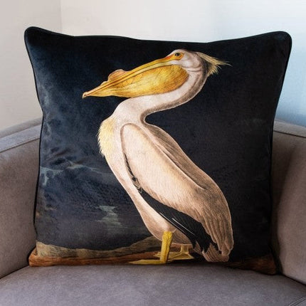 Cushion Scatter in White Pelican Velvet (Feather Filled) - 60 x 60cm