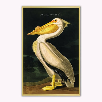 White Pelican Canvas Wall Art (Various Sizes)
