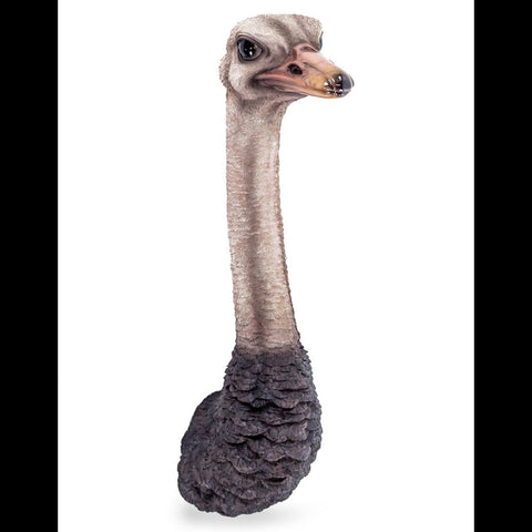 Animal Head Ostrich