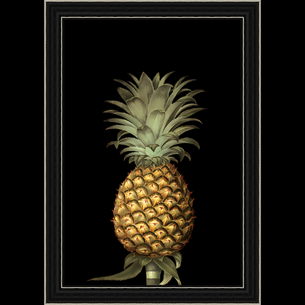 Printed Glazed Art Pictures Assorted