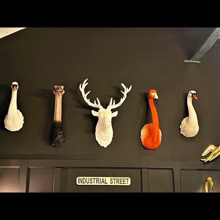 White Stag Wall Head