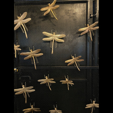 Medium Gold Dragonfly Figure